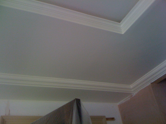 Cornice & Light Trough