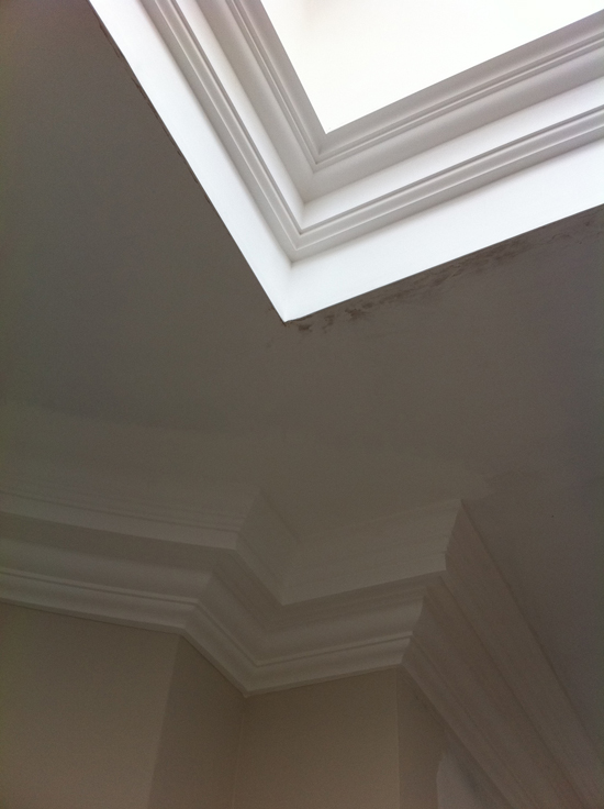 SM35 Cornice